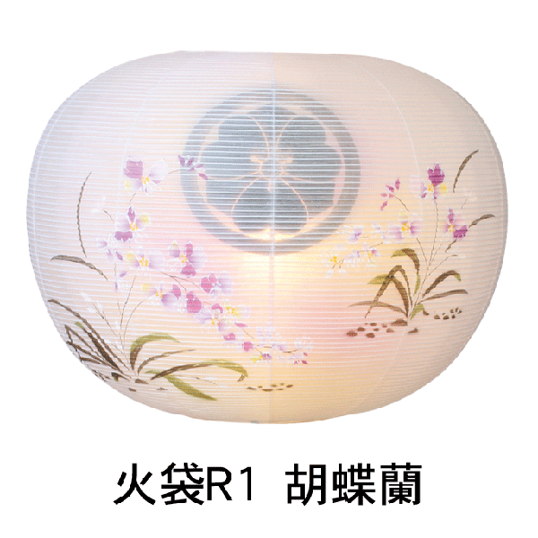 胡蝶蘭