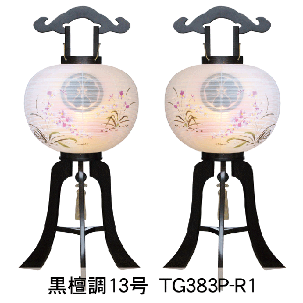 【13号サイズ】家紋入り提灯 彩シリーズ 菊撫子柄