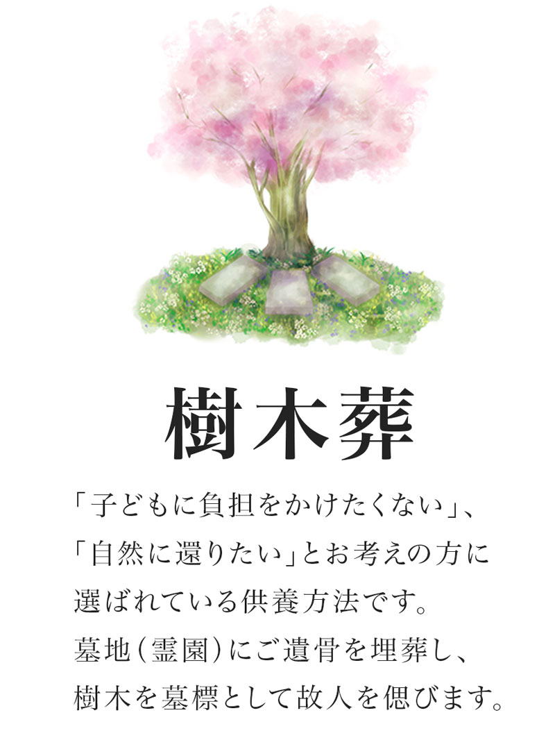樹木葬 子どもに負担をかけたくない、自然に還りたいとお考えの方に選ばれている供養方法です