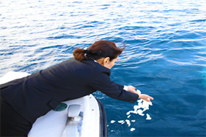海へ花びらを手向ける海洋散骨の様子